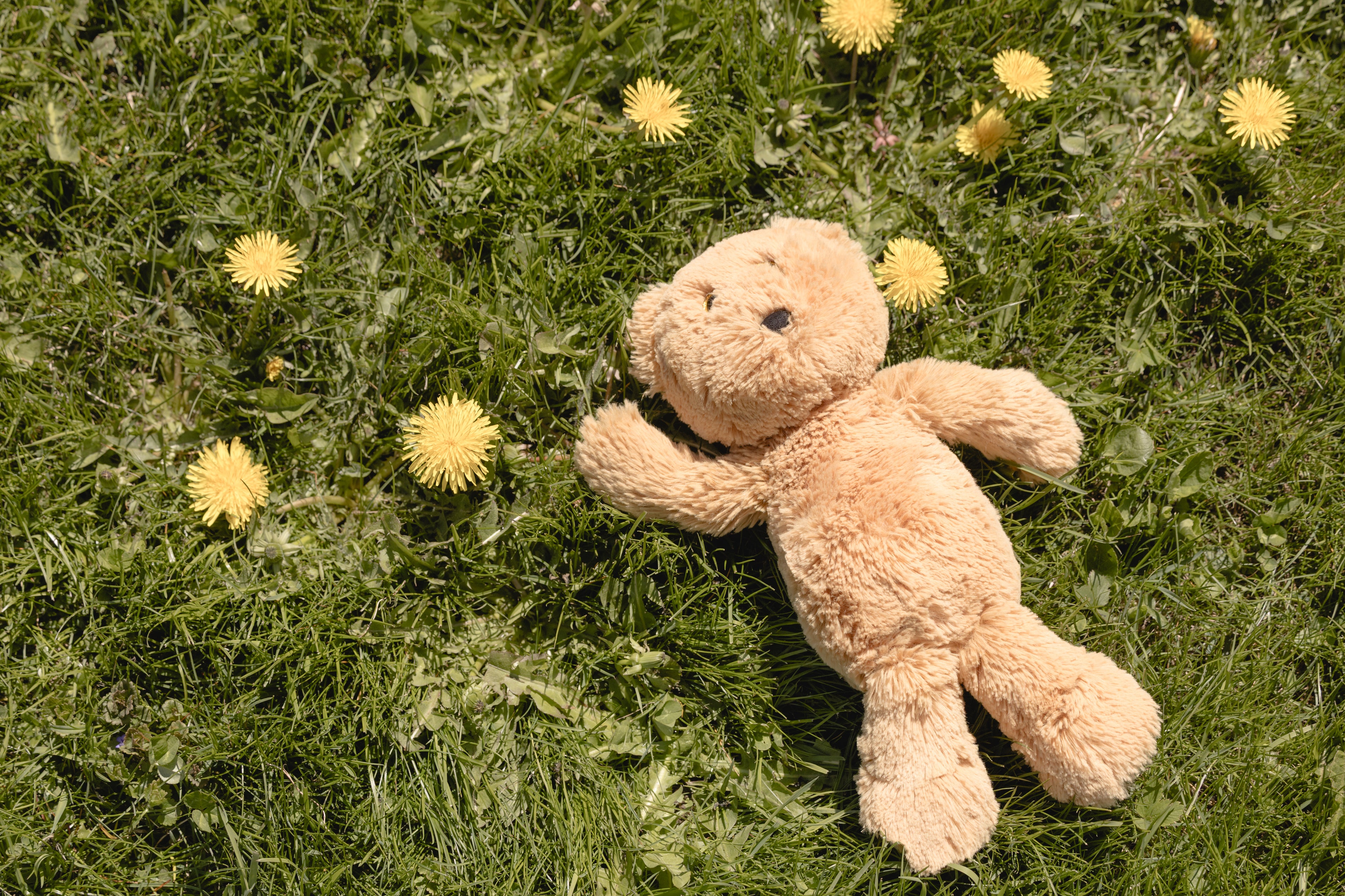Eco-friendly stuffies – Bear Hug Adventures Co., eco-friendly toy and gift ideas