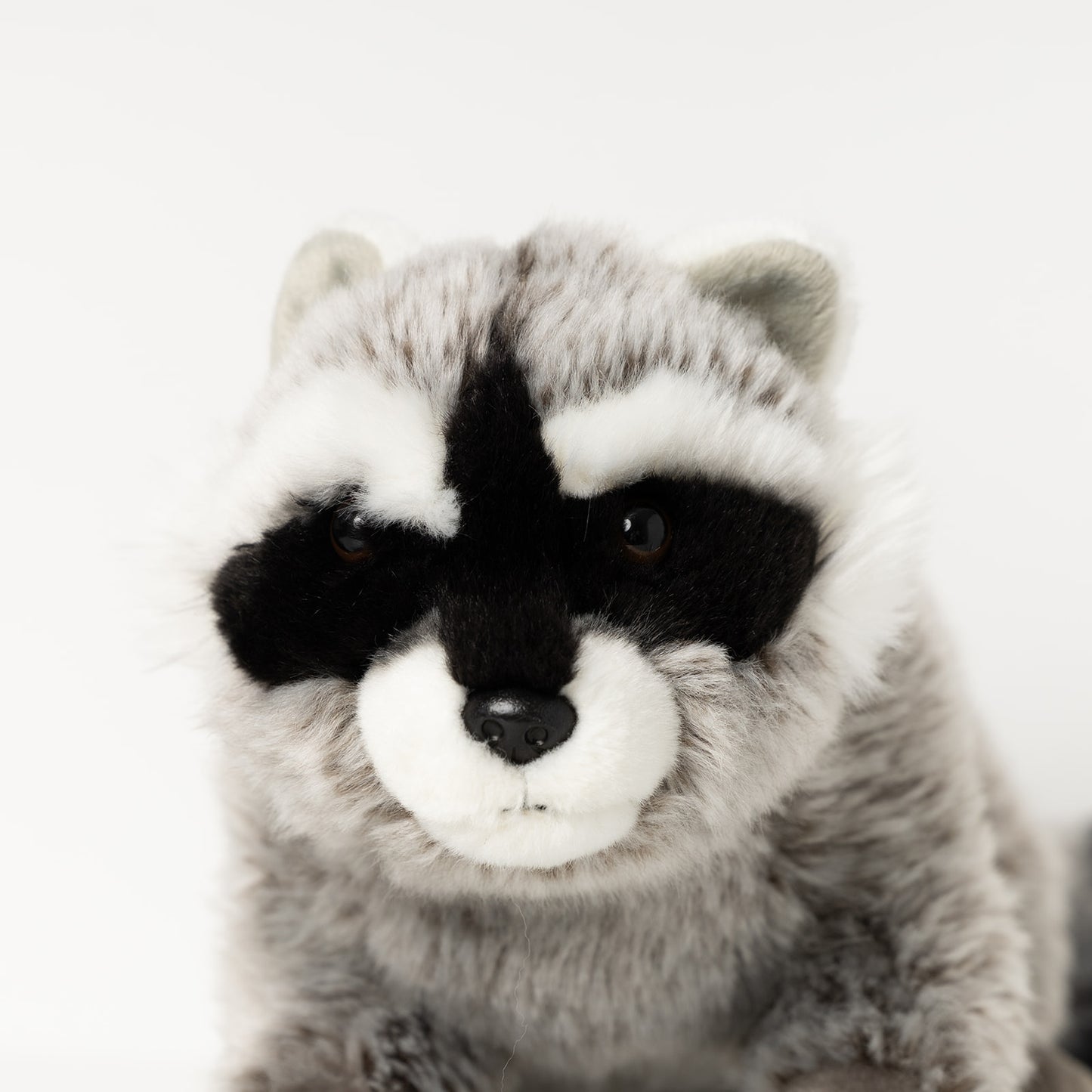 Bandit