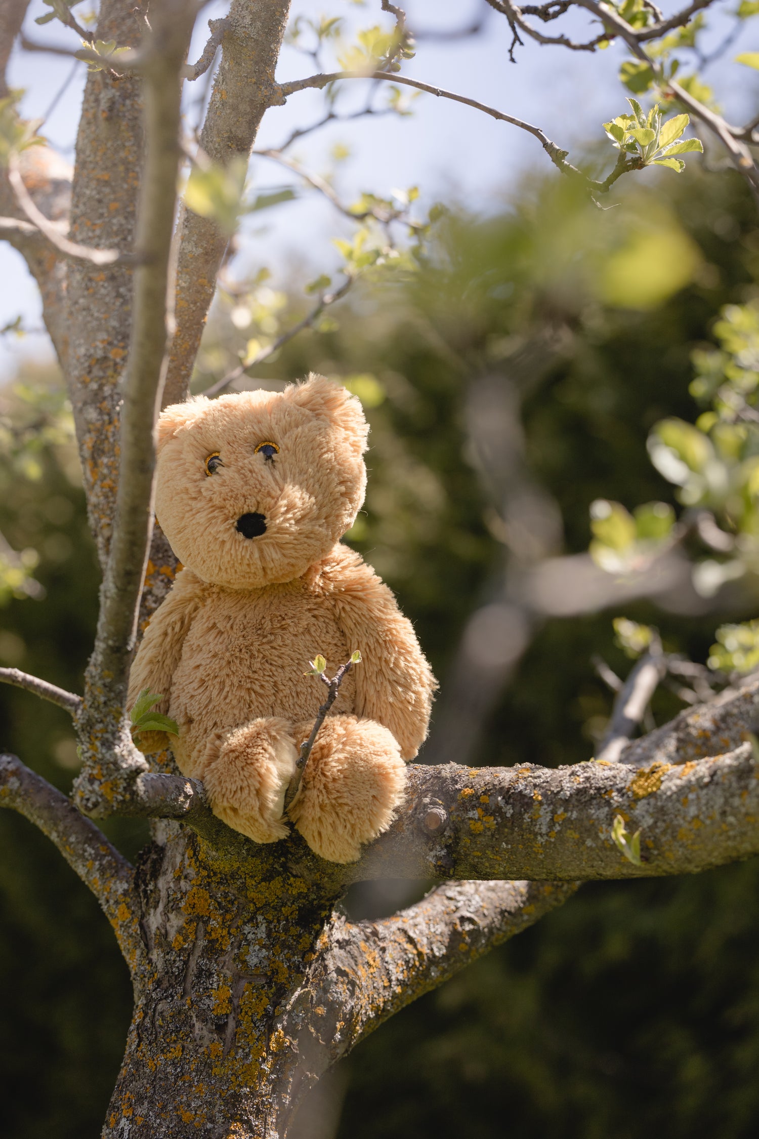 Gently used stuffed animals for sale - each rescued, cleaned, and ready for adoption