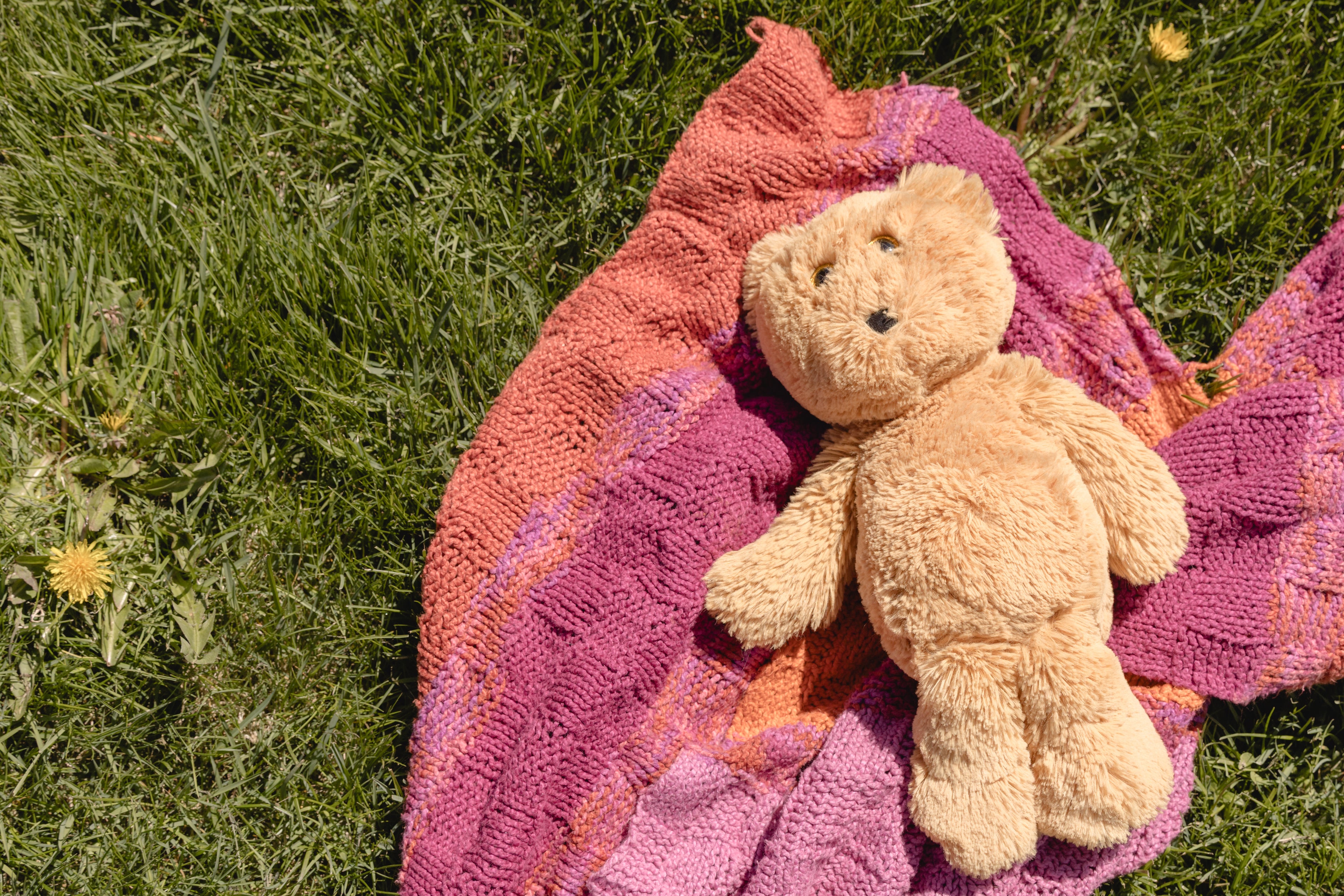 Accepted stuffed toys ready for adoption and gifting – sustainable reuse initiative
