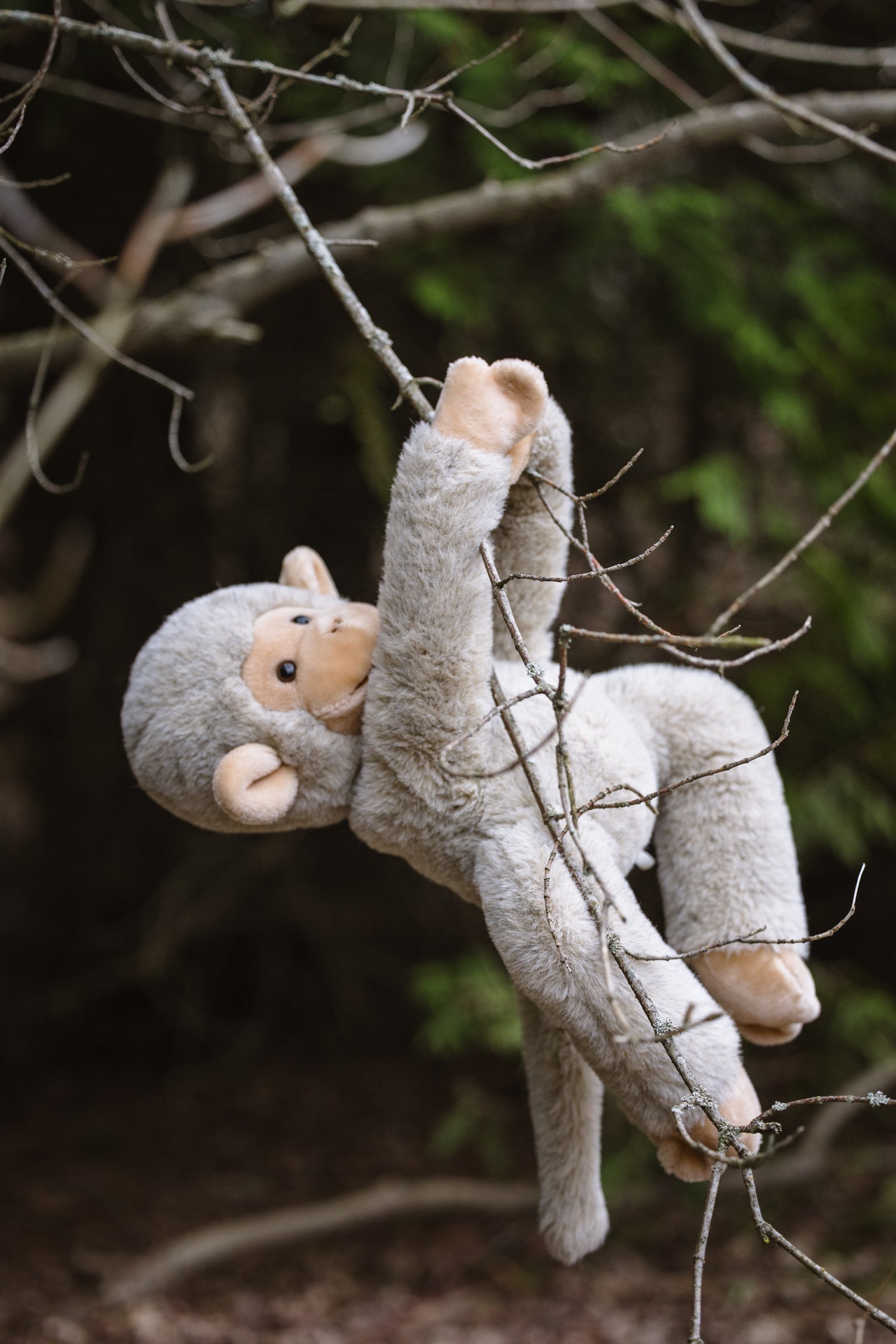 Pre-loved stuffed animals, stuffed monkey, pretend play
