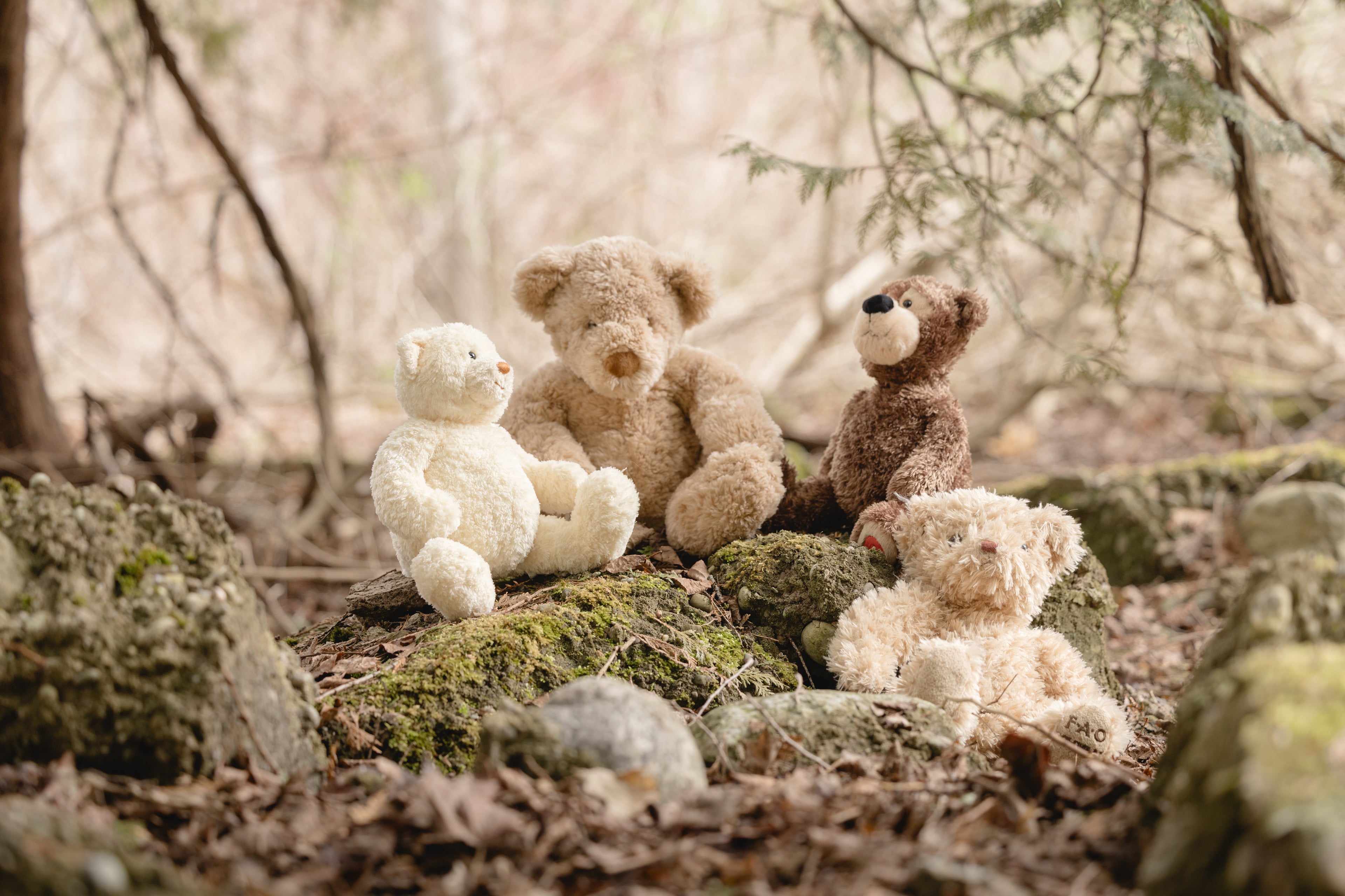 Selection of preloved stuffed animals from Bear Hug Adventures Co. – eco-friendly gifts rehomed in Canada