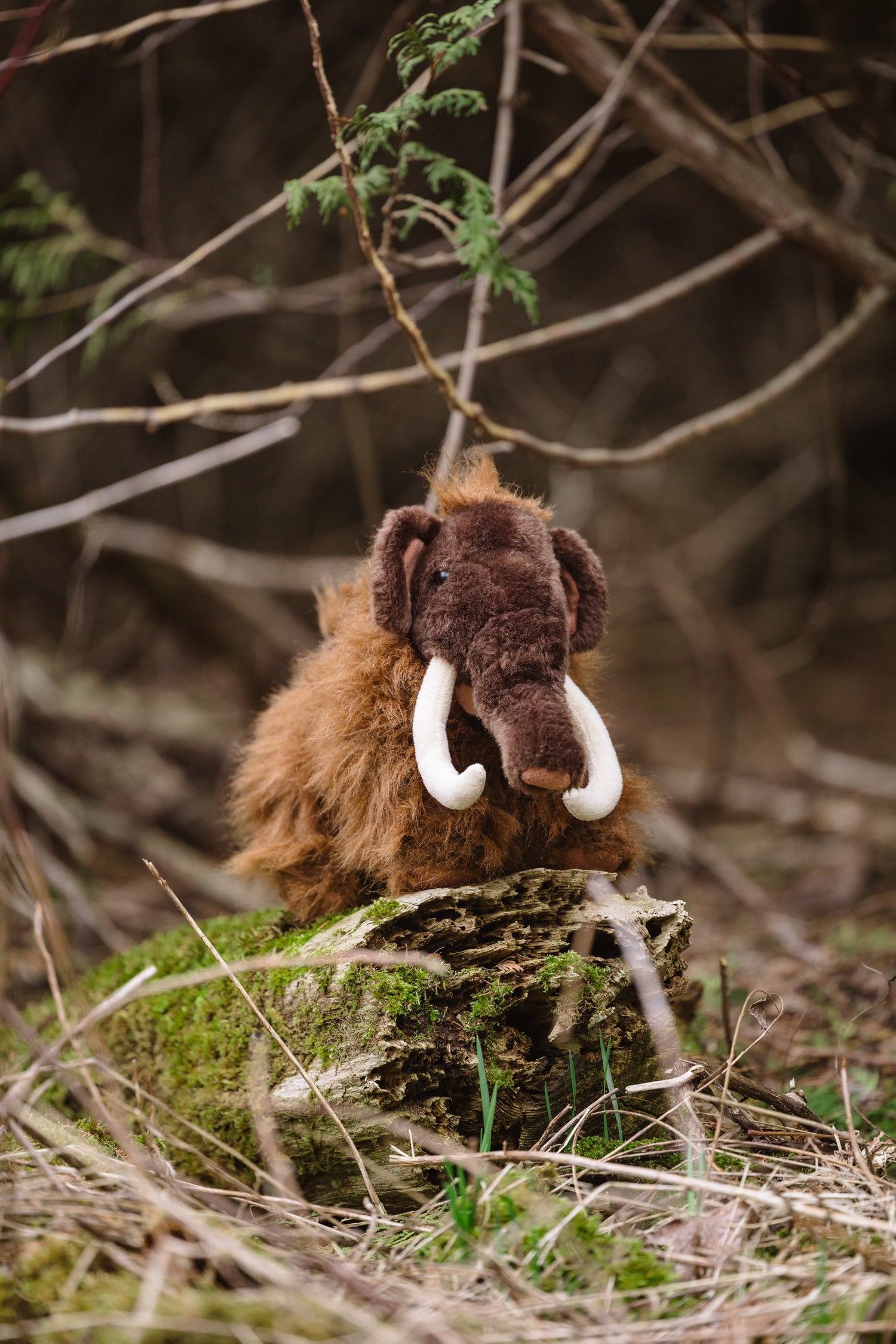 Eco-friendly gift packaging for preloved stuffies – Bear Hug Adventures