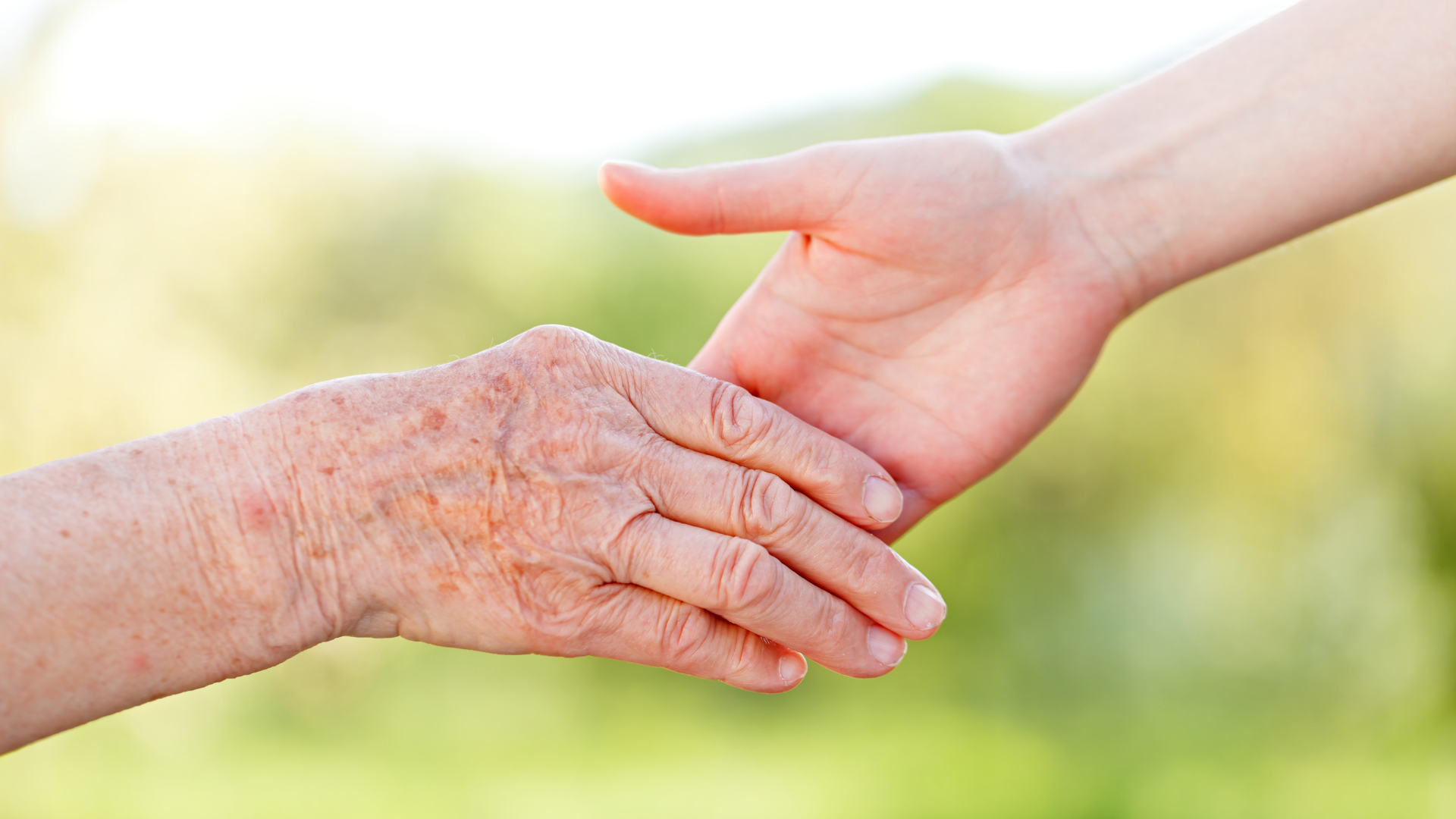 stuffed animals for seniors